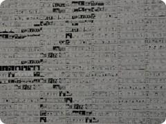 USA 2016_Westen_Floriad_004