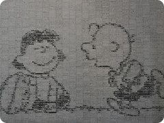 USA 2016_Westen_Floriad_005