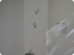 USA 2016_Westen_Floriad_007