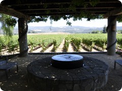 USA 2016_Westen_Floriad_012