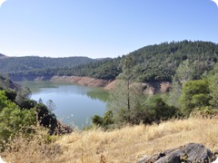 USA 2016_Westen_Floriad_020