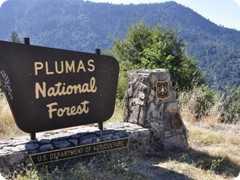 USA 2016_Westen_Floriad_021