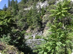 USA 2016_Westen_Floriad_025