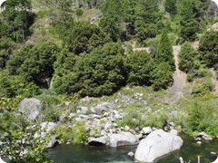 USA 2016_Westen_Floriad_031