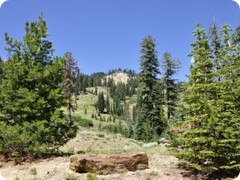 USA 2016_Westen_Floriad_034