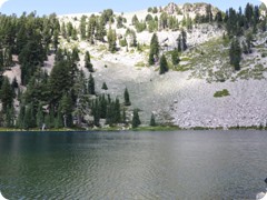 USA 2016_Westen_Floriad_037