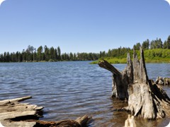 USA 2016_Westen_Floriad_042