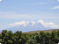 USA 2016_Westen_Floriad_062