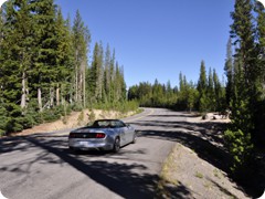 USA 2016_Westen_Floriad_066