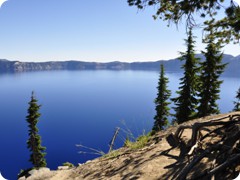 USA 2016_Westen_Floriad_069