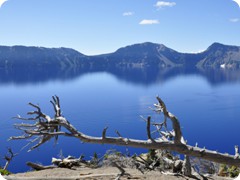 USA 2016_Westen_Floriad_079