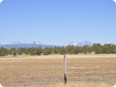 USA 2016_Westen_Floriad_082