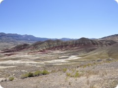 USA 2016_Westen_Floriad_089