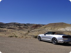 USA 2016_Westen_Floriad_092