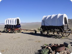 USA 2016_Westen_Floriad_105