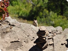 USA 2016_Westen_Floriad_117