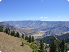 USA 2016_Westen_Floriad_118