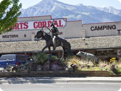 USA 2016_Westen_Floriad_122