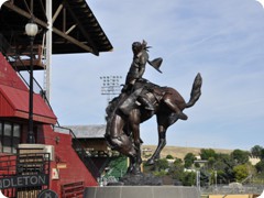 USA 2016_Westen_Floriad_123