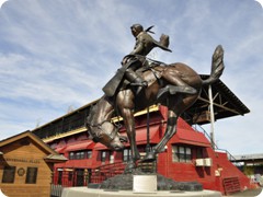 USA 2016_Westen_Floriad_125