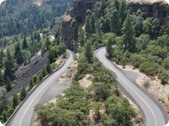 USA 2016_Westen_Floriad_129