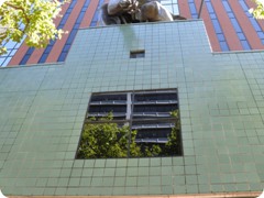 USA 2016_Westen_Floriad_138