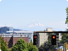 USA 2016_Westen_Floriad_140