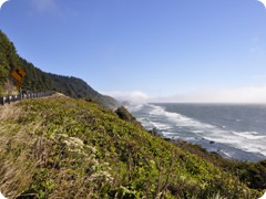 USA 2016_Westen_Floriad_147