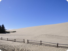 USA 2016_Westen_Floriad_151