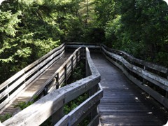 USA 2016_Westen_Floriad_152