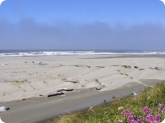 USA 2016_Westen_Floriad_154