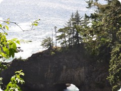 USA 2016_Westen_Floriad_155