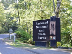 USA 2016_Westen_Floriad_158