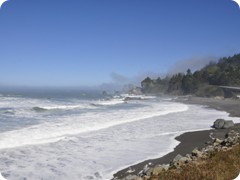 USA 2016_Westen_Floriad_160