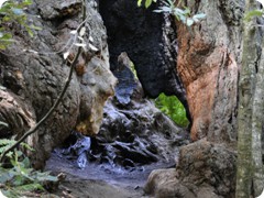 USA 2016_Westen_Floriad_168