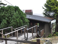 USA 2016_Westen_Floriad_170