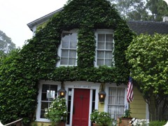 USA 2016_Westen_Floriad_171