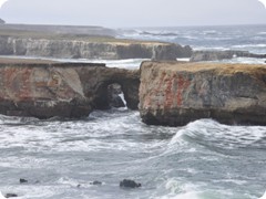 USA 2016_Westen_Floriad_173