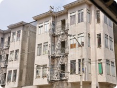 USA 2016_Westen_Floriad_178