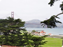 USA 2016_Westen_Floriad_187