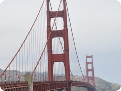 USA 2016_Westen_Floriad_194