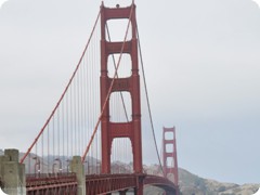 USA 2016_Westen_Floriad_195