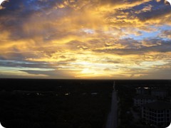 USA 2016_Westen_Floriad_207