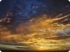 USA 2016_Westen_Floriad_208